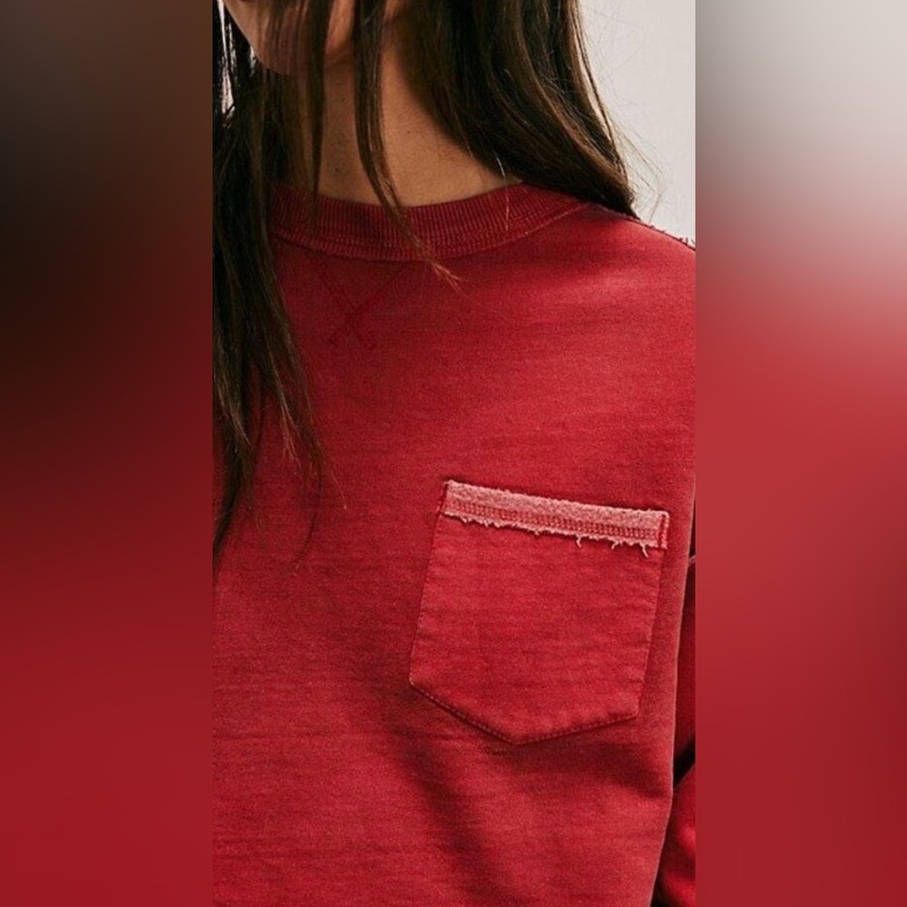 NWT FREE PEOPLE WE THE FREE WALLACE PULLOVER SWEATSHIRT - Picture 3 of 5